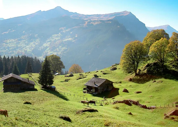 Herrschaft 4 Bett By Interhome גרינדלוולד